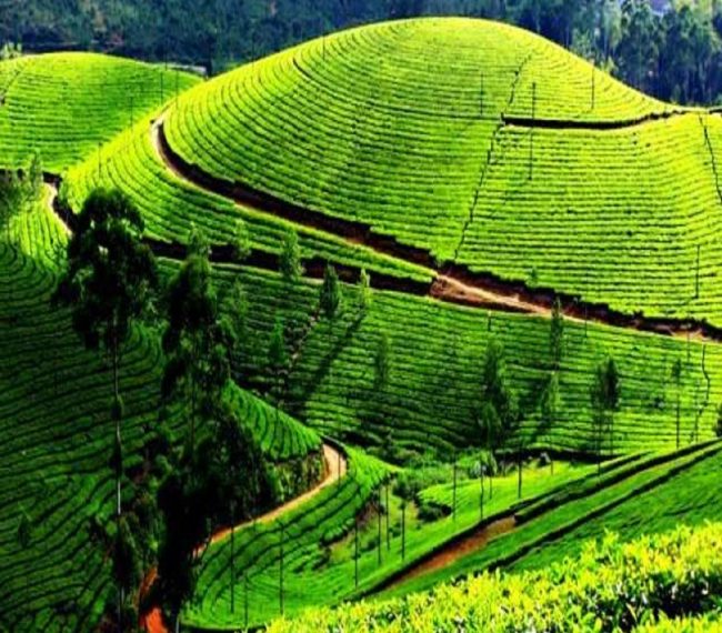 Bangalore to Coorg Taxi
